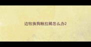 边牧换狗粮拉稀怎么办