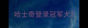 哈士奇登录冠军犬