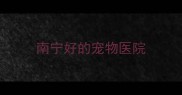 南宁好的宠物医院