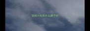 宠物大电剪什么牌子好