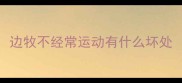 边牧不经常运动有什么坏处
