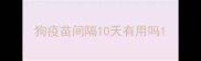 狗疫苗间隔10天有用吗