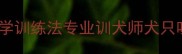 哈士奇不叫的5大科学训练法专业训犬师犬只吠叫行为矫正全攻略