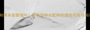哈士奇和博美能繁殖吗科学异种犬配种的遗传风险与饲养指南