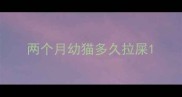 两个月幼猫多久拉屎