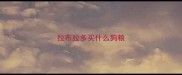 拉布拉多买什么狗粮