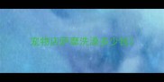 宠物店萨摩洗澡多少钱