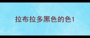 拉布拉多黑色的色