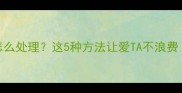 不要的宠物狗怎么处理这5种方法让爱TA不浪费附领养攻略