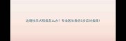 边境牧羊犬咳痰怎么办专业医生教你5步应对指南