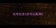 拉布拉多3岁可以配种