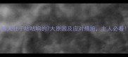 泰迪犬肚子咕咕响的7大原因及应对措施主人必看