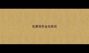 免费领养金毛微信