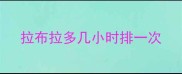 拉布拉多几小时排一次