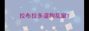 拉布拉多遛狗乱窜