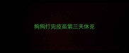 狗狗打完疫苗第三天休克