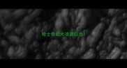 哈士奇幼犬凌晨以后