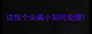 边牧个头偏小如何处理