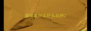 猫咪最好买什么品种