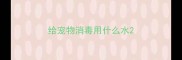 给宠物消毒用什么水