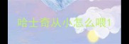 哈士奇从小怎么喂