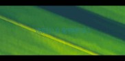 沈阳公立宠物医院
