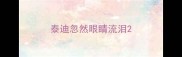 泰迪忽然眼睛流泪