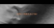 边牧三色陨石多少钱