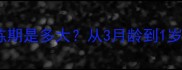 金毛幼犬最佳训练期是多大从3月龄到1岁科学训练全指南