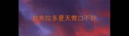 拉布拉多夏天胃口不好