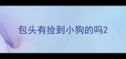 包头有捡到小狗的吗