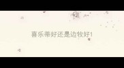 喜乐蒂好还是边牧好