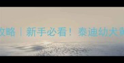 小泰迪1个月喂养全攻略新手必看泰迪幼犬黄金月科学养宠指南
