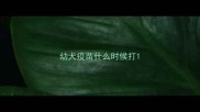 幼犬疫苗什么时候打