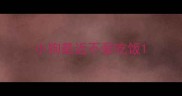 小狗最近不爱吃饭