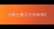 小哈士奇几个月补钙