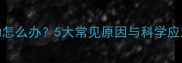 拉布拉多幼犬不愿走动怎么办5大常见原因与科学应对指南附兽医建议