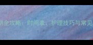 幼犬换牙期全攻略时间表护理技巧与常见问题解答