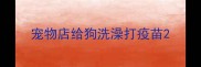 宠物店给狗洗澡打疫苗
