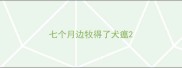 七个月边牧得了犬瘟