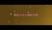 狗生六只小狗好不好