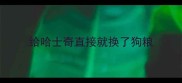 给哈士奇直接就换了狗粮