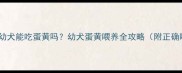 2个月泰迪幼犬能吃蛋黄吗幼犬蛋黄喂养全攻略附正确喂食指南