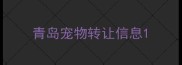 青岛宠物转让信息