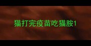 猫打完疫苗吃猫胺