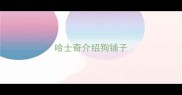 哈士奇介绍狗铺子
