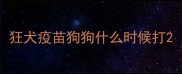 狂犬疫苗狗狗什么时候打
