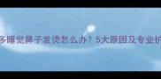 拉布拉多睡觉鼻子发烫怎么办5大原因及专业护理指南
