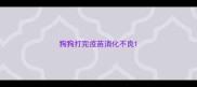 狗狗打完疫苗消化不良
