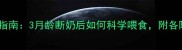 比熊犬幼犬喂养指南3月龄断奶后如何科学喂食附各阶段营养需求表